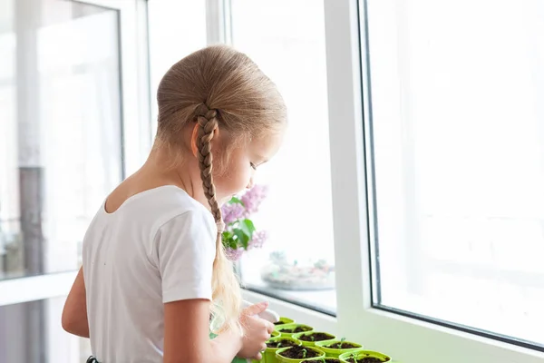 Meisje Een Wit Shirt Plant Erwtenzaadjes Groene Potten Een Kind — Stockfoto