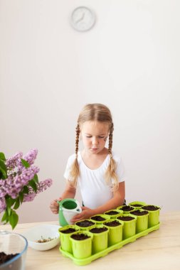 Beyaz tişörtlü küçük bir kız yeşil saksılara bezelye tohumu ekiyor, bir çocuk bitkilerle ilgileniyor, pencerenin kenarında bir ev bahçesi var.