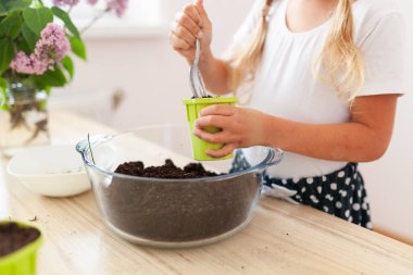 Beyaz tişörtlü küçük bir kız yeşil saksılara bezelye tohumu ekiyor, bir çocuk bitkilerle ilgileniyor, pencerenin kenarında bir ev bahçesi var.