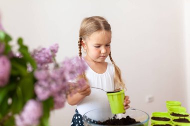 Beyaz tişörtlü küçük bir kız yeşil saksılara bezelye tohumu ekiyor, bir çocuk bitkilerle ilgileniyor, pencerenin kenarında bir ev bahçesi var.