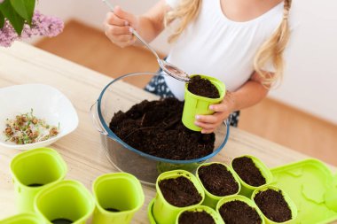 Beyaz tişörtlü küçük bir kız yeşil saksılara bezelye tohumu ekiyor, bir çocuk bitkilerle ilgileniyor, pencerenin kenarında bir ev bahçesi var.