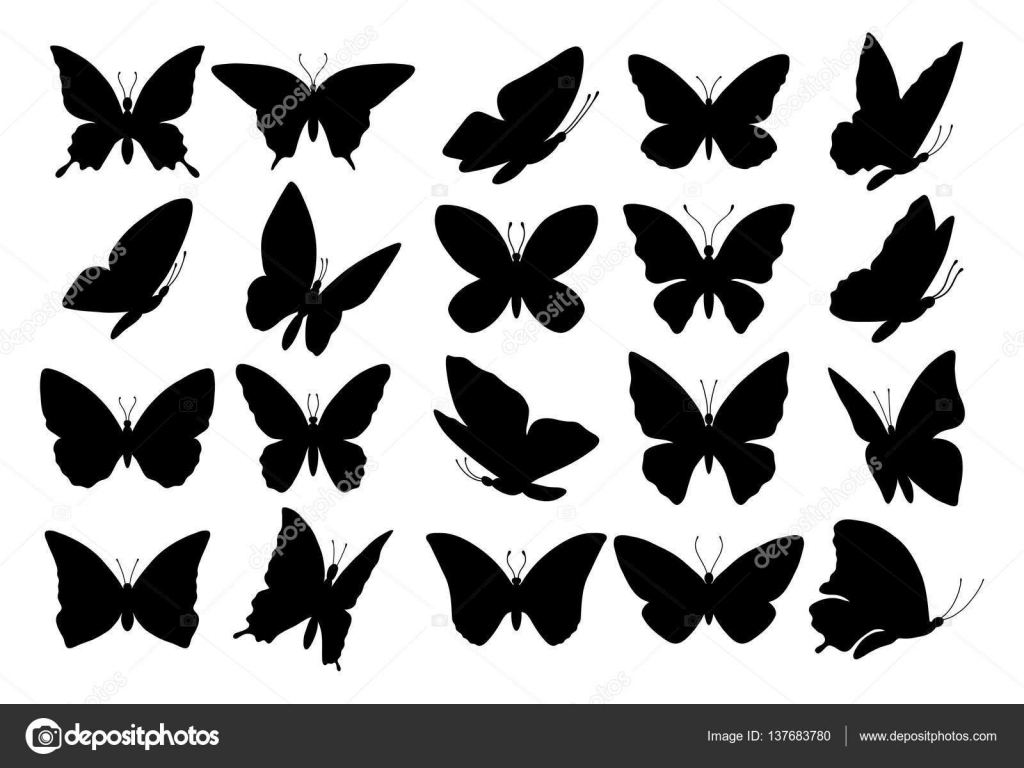 Set Of Butterfly Silhouettes Stock Vector By ©djahan 137683780