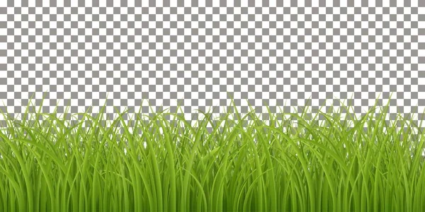 Isolated Fresh Green Grass — Stock Vector