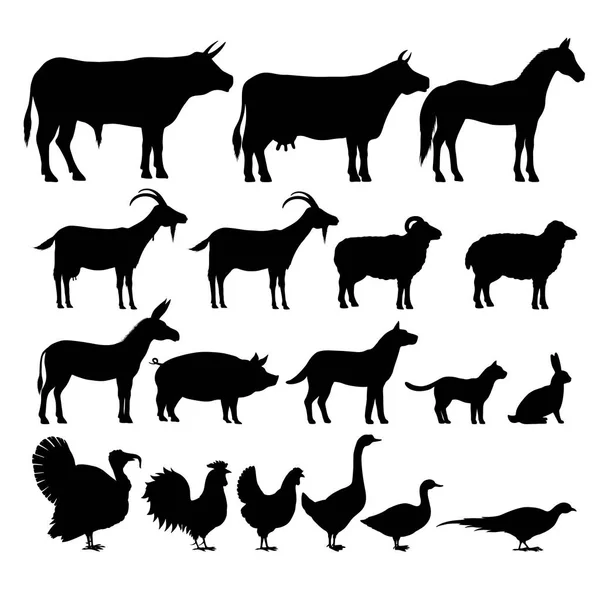 Çiftlik hayvanları Silhouettes — Stok Vektör