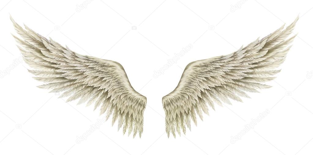 Wings of Angel 