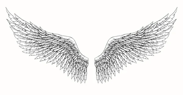 Wings Of Angel — Stock Vector