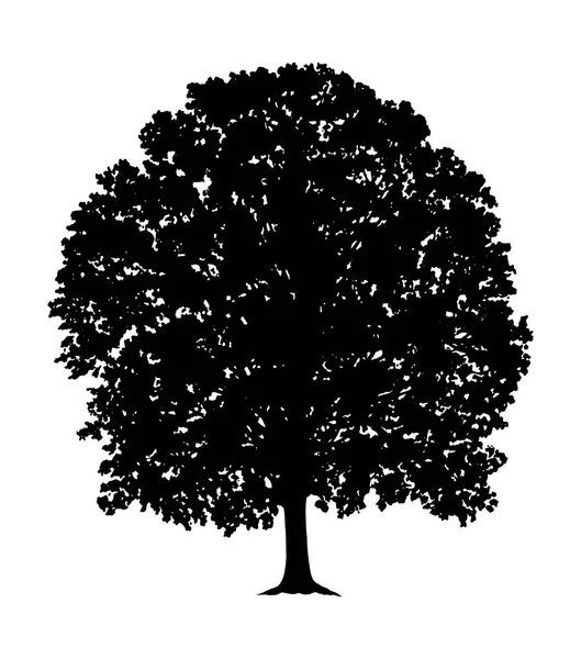 Silueta del árbol — Archivo Imágenes Vectoriales