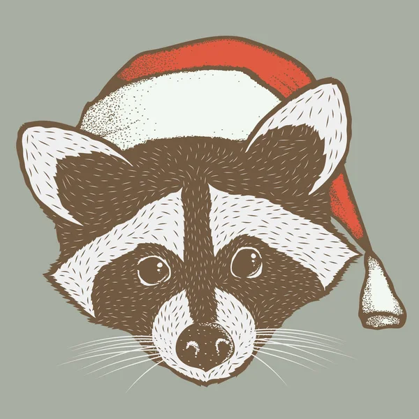 Waschbär mit Weihnachtsmütze — Stockvektor