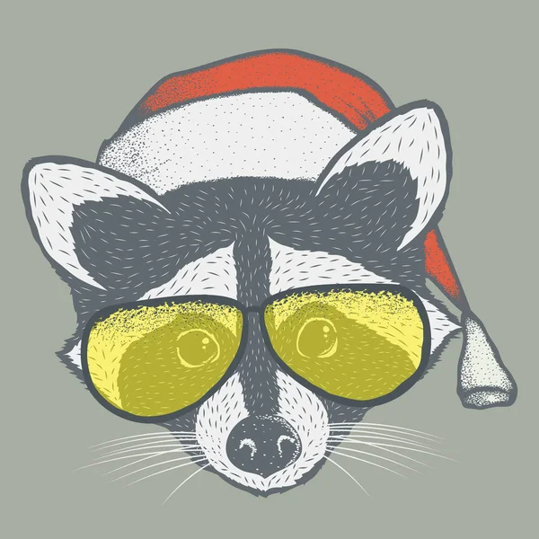 浣熊在圣诞老人的帽子 — 图库矢量图片