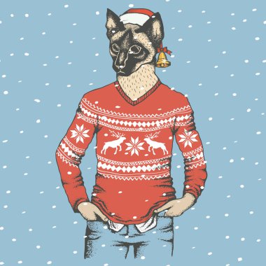 kedi insan giyim ve Noel Baba şapkası 