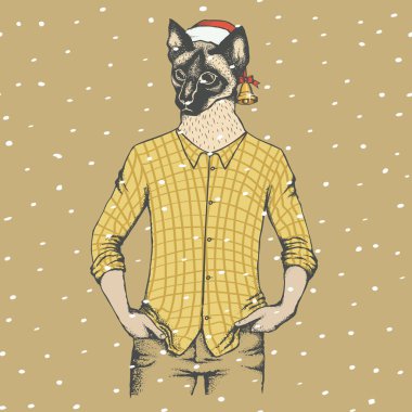 kedi insan giyim ve Noel Baba şapkası 