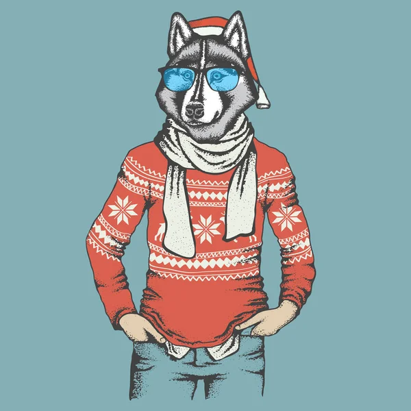 Siberische husky in menselijke sweatshirt — Stockvector