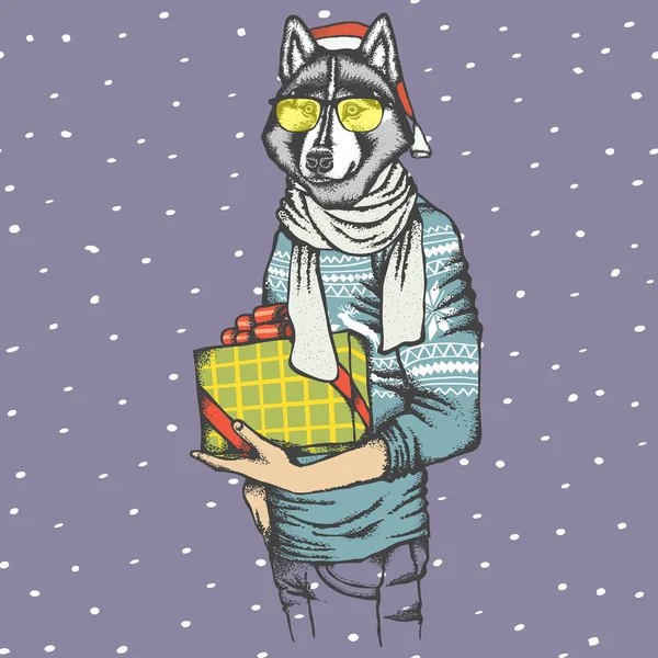 Siberian husky in human sweatshirt — Stock Vector