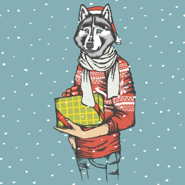 Husky sibérien en sweat-shirt humain — Image vectorielle