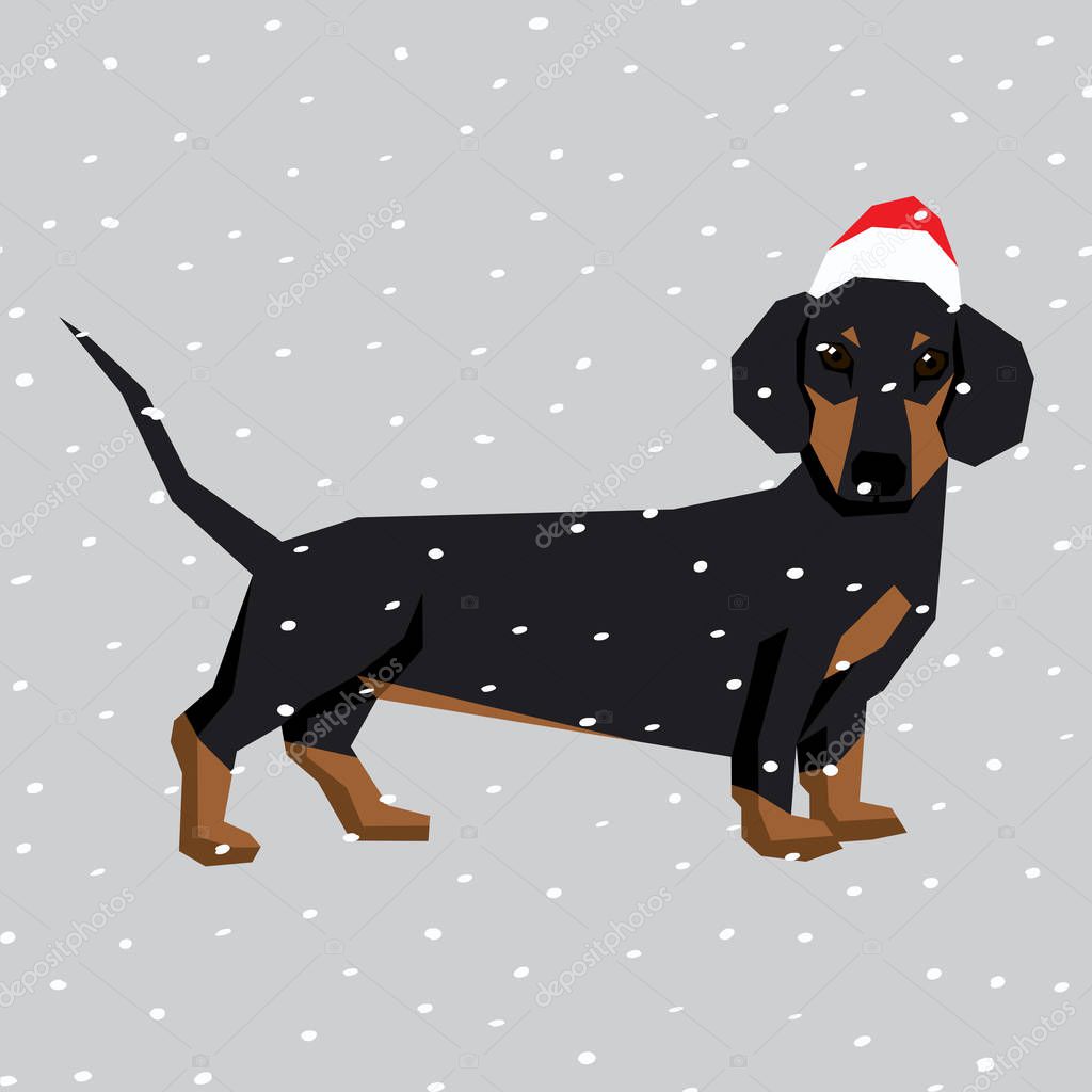 Download Dachshund en sombrero de la Navidad Santa — Vector de ...