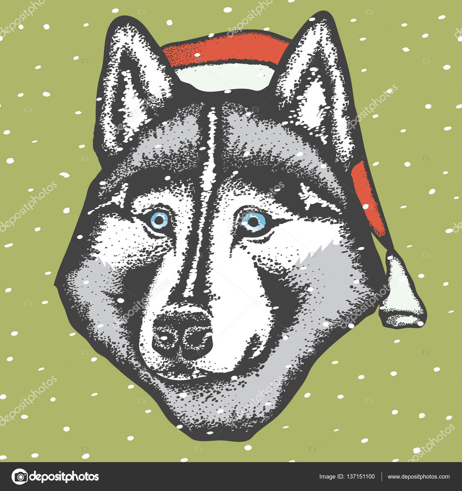 頭のハスキー犬ストックベクター ロイヤリティフリー頭のハスキー犬イラスト Depositphotos