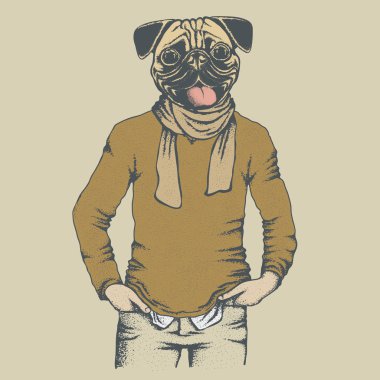 Pug köpek insan kazaklı