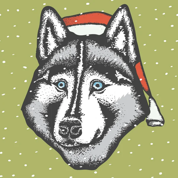 Сибирская хаски-собака в шляпе Санты — стоковый вектор