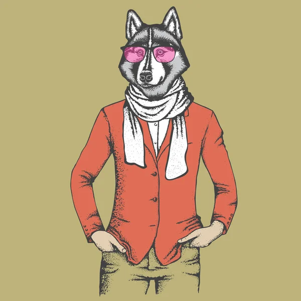 Husky en costume humain — Image vectorielle
