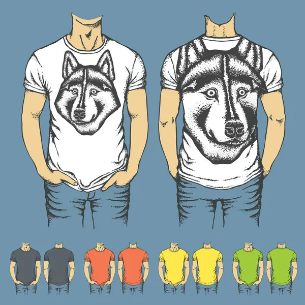 Modelli di camicie con stampe di husky — Vettoriale Stock