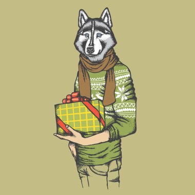 Husky hediye ile insan sweatshirt içinde