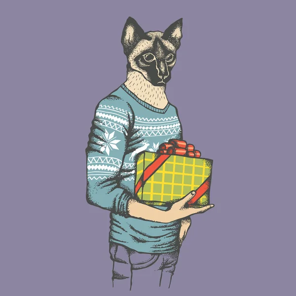 Katt i tröja med gåva — Stock vektor