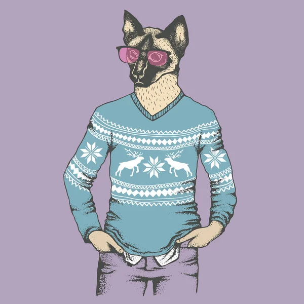 Cat in human sweatshirt — Stock Vector