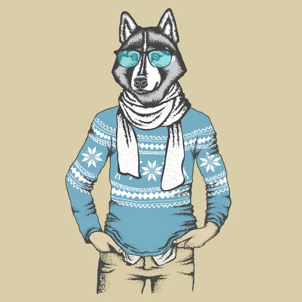 Siberische husky hond in menselijke sweatshirt — Stockvector