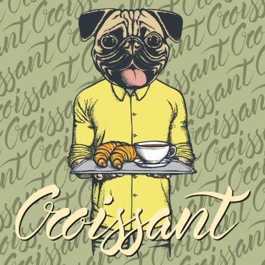 kruvasan ve kahve ile pug köpek 