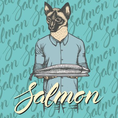 taze balık ile kedi  