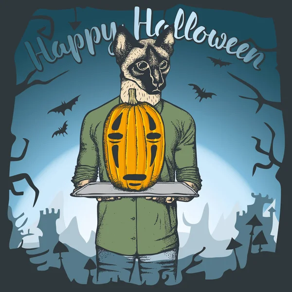 Gato celebración de Halloween calabaza — Vector de stock