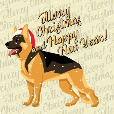  Noel Noel Baba şapkası köpek