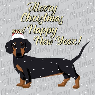  Noel Noel Baba şapkası köpek