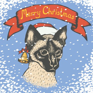 Noel Baba şapkası Siyam kedi