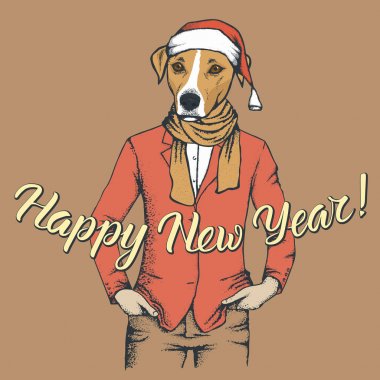 Russell Terrier köpek insan takım 