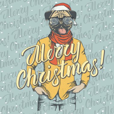 Noel pug köpek Noel Baba şapkası 