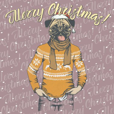 Noel pug köpek