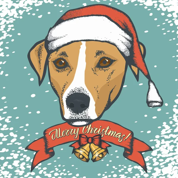 Jack Russell Terrier mit Weihnachtsmütze — Stockvektor