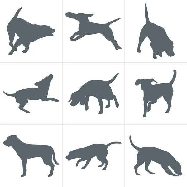 Ensemble de silhouettes pour chien — Image vectorielle