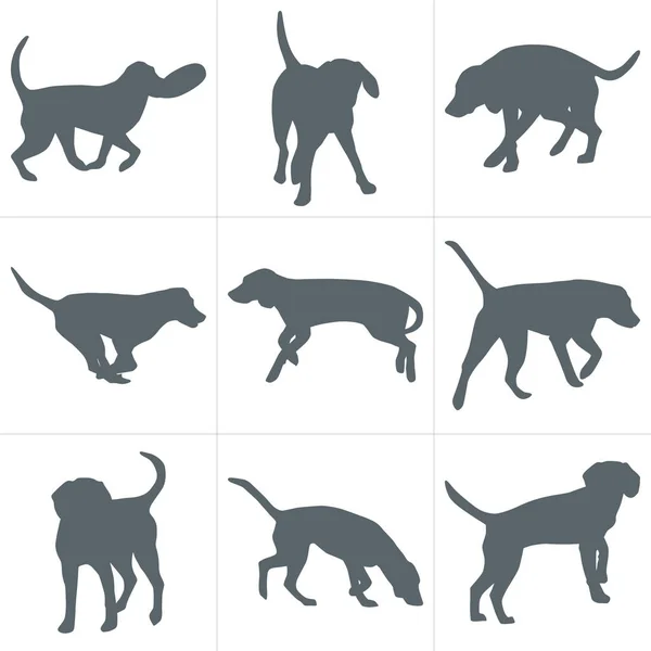 Ensemble de silhouettes pour chien — Image vectorielle