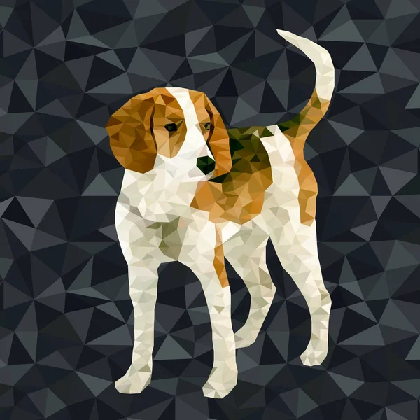 Polygonal hund spelar — Stock vektor