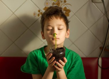 Boy with chickenpox grow plant