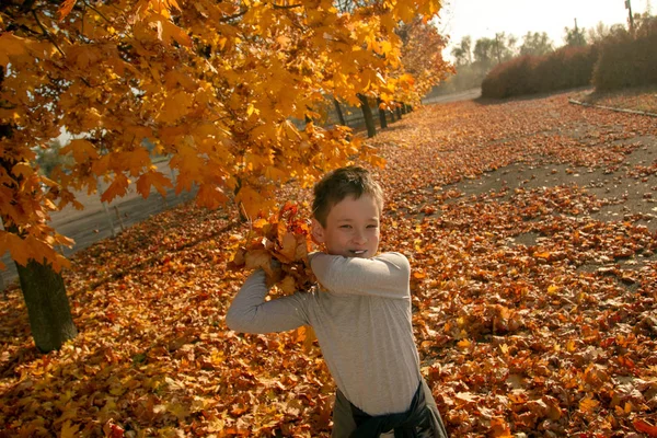 Chlapec v podzimním parku — Stock fotografie