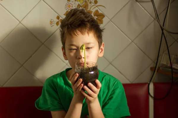 Boy with chickenpox grow plant — 图库照片