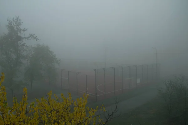 Niebla fría mañana de otoño — Foto de Stock