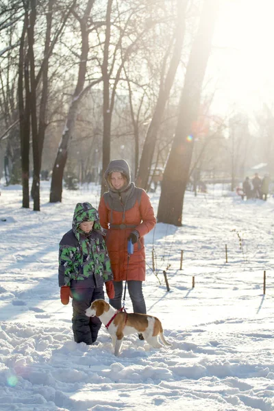 Ragazzo sua madre e cane — Foto Stock