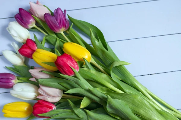 Buquê Tulipas Coloridas Chão Presente Para Dia Mulheres Primavera Tulipas — Fotografia de Stock