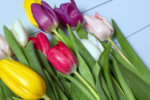 Buquê Tulipas Coloridas Chão Presente Para Dia Mulheres Primavera Tulipas — Fotografia de Stock