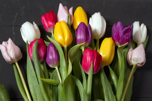 Букет цветных тюльпанов на полу. Подарок на женский день. Весенние цветы тюльпанов
