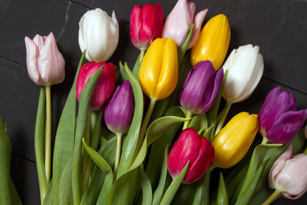 Букет цветных тюльпанов на полу. Подарок на женский день. Весенние цветы тюльпанов
